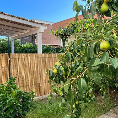 Civiconove Apartment Piombino Bagian luar foto