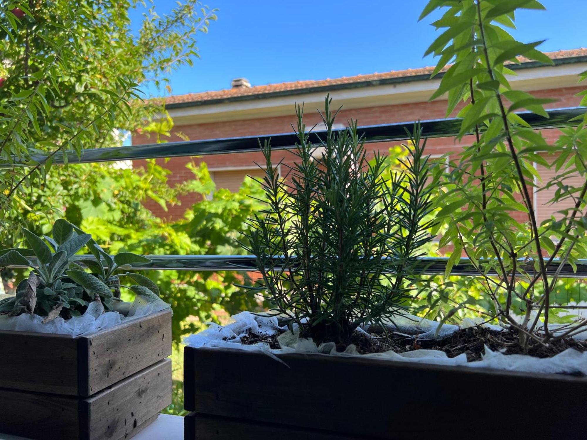 Civiconove Apartment Piombino Bagian luar foto