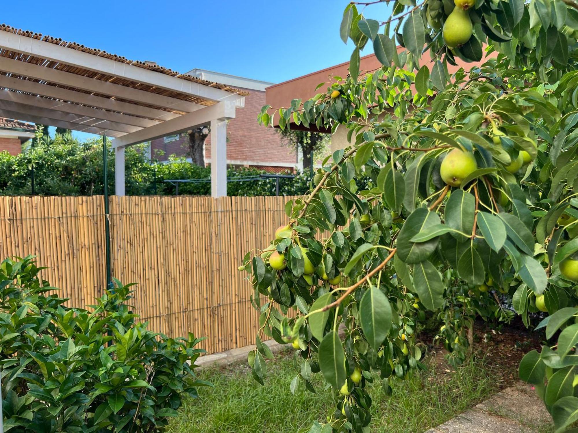 Civiconove Apartment Piombino Bagian luar foto